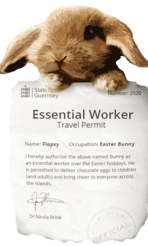 easter bunny copy